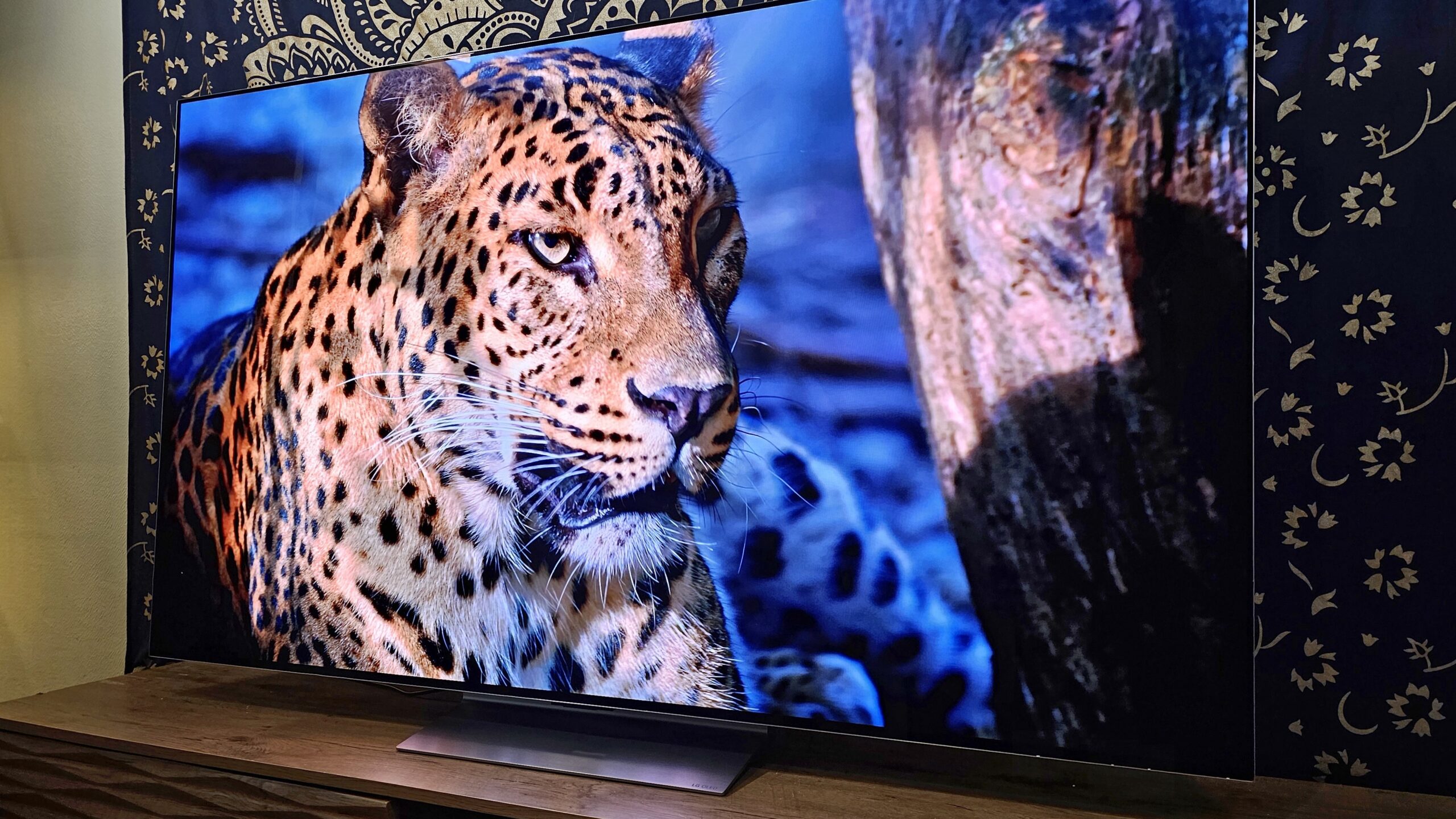 Ce geste que font 90% des utilisateurs détruit leur TV OLED sans qu'ils le sachent